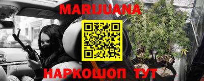 PSILOCYBIN Обнинск