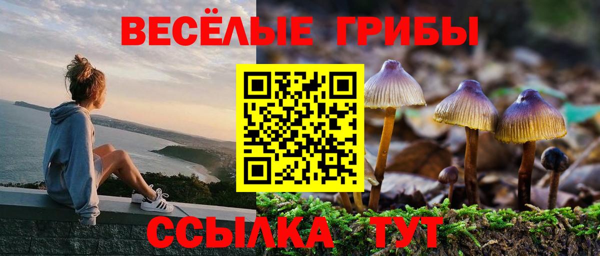 Псилоцибиновые грибы мухоморы  Галлюциногенные грибы ЛСД  Тулун  Вход с VPN 