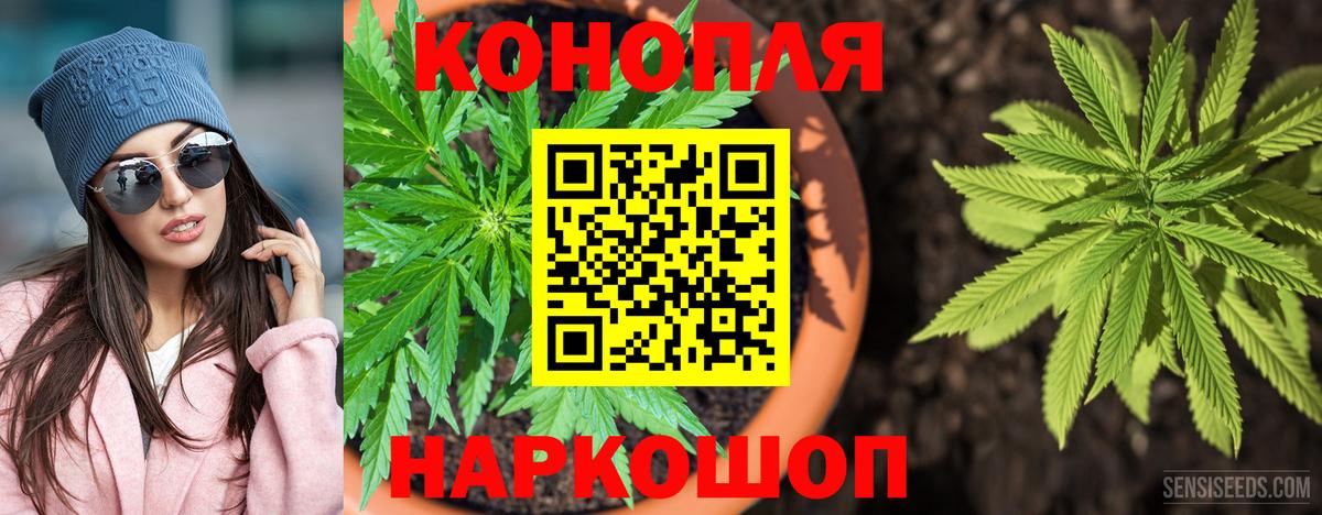 Конопля конопля Тулун